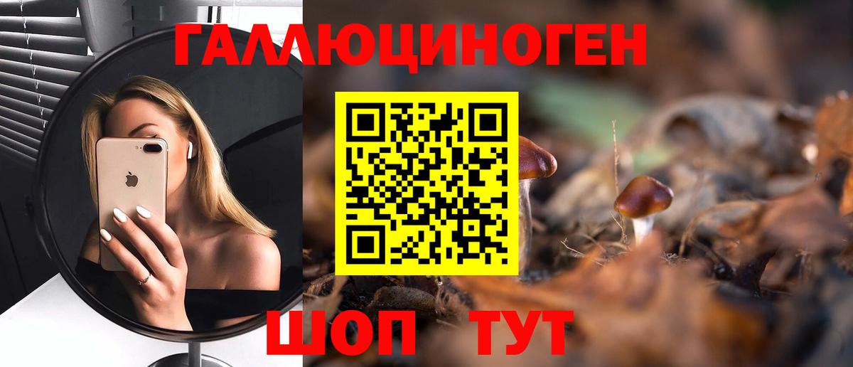 закладка  Галлюциногенные грибы Psilocybe  Вход с VPN  Темрюк 
