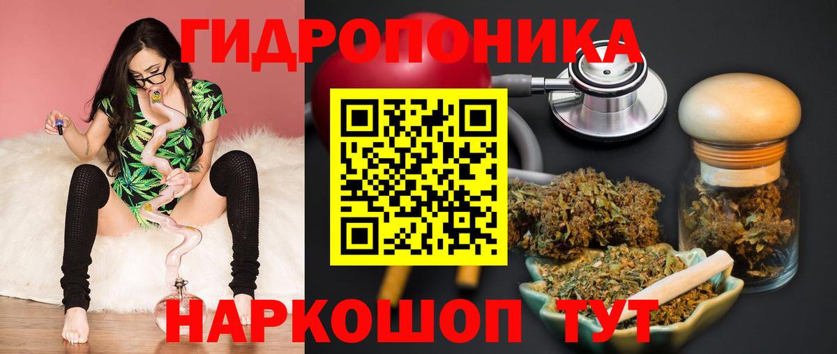 Шишки марихуана Bruce Banner  Вход с VPN  МАРИХУАНА VHQ  Темрюк  Бошки Шишки сатива 
